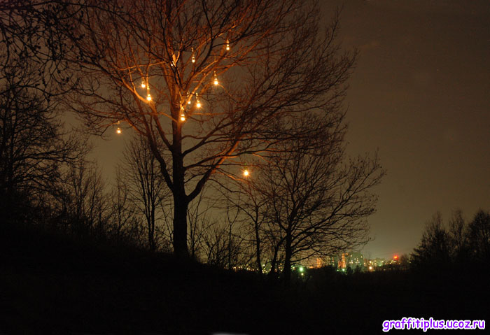 Тусовка гигантских светлячков на окраине города