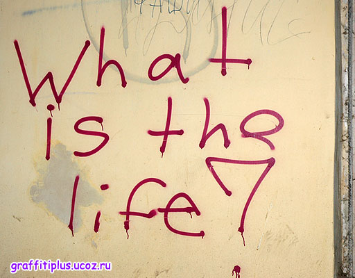 What is the life?